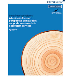 Levering Ecosystems: A Business-Focused Perspective on How Debt Supports Investments in Ecosystem Services